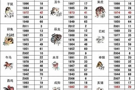 1971年生肖几岁|1971年11月今年多大